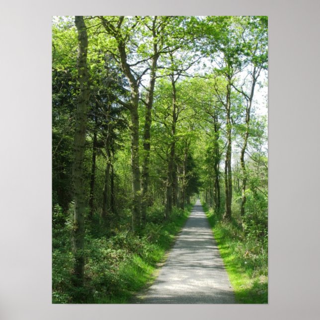 Affiches Chemin de la forêt dans la lumière partielle du so (Devant)