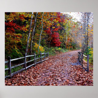 Affiches Chemin en bois