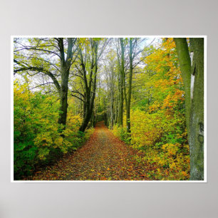Affiches chemin en bois à travers l'affiche d'arbres de