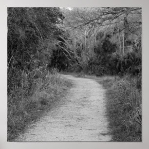 Affiches Chemin en bois B&W
