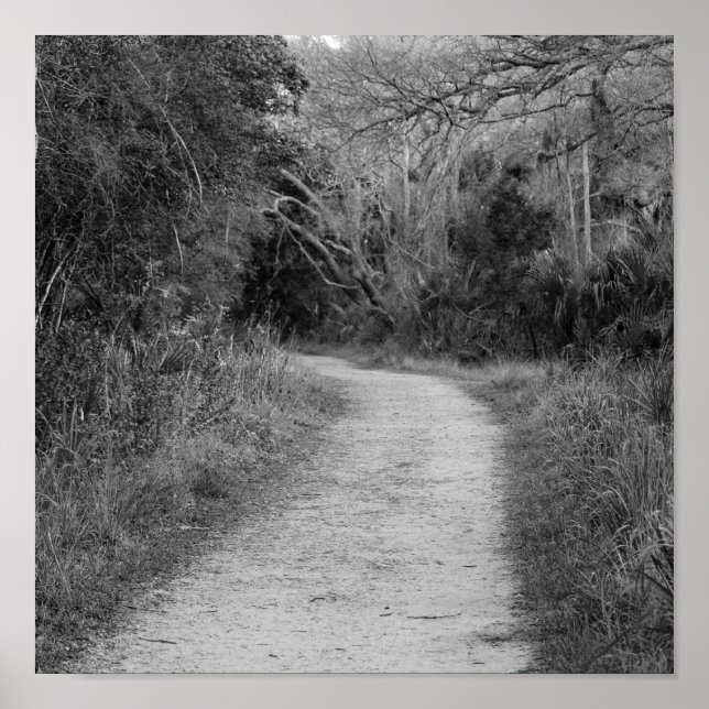 Affiches Chemin en bois B&W (Devant)