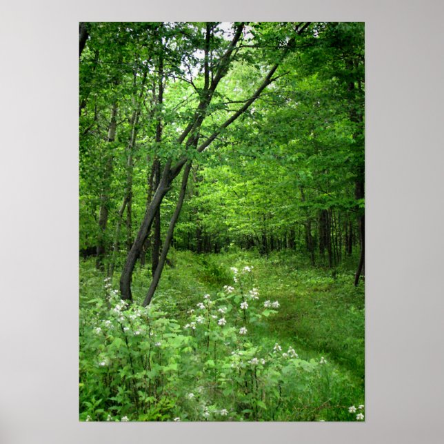 Affiches Chemin forestier (Devant)