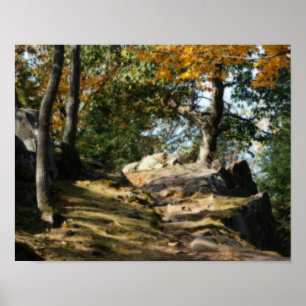 Affiches Chemin forestier paisible Nature Orton Art