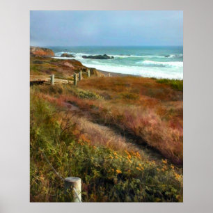 Affiches Chemin vers l'océan Shoreline