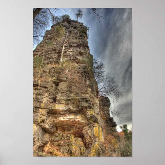 Affiches Cheminées naturelles, Virginie (Devant)