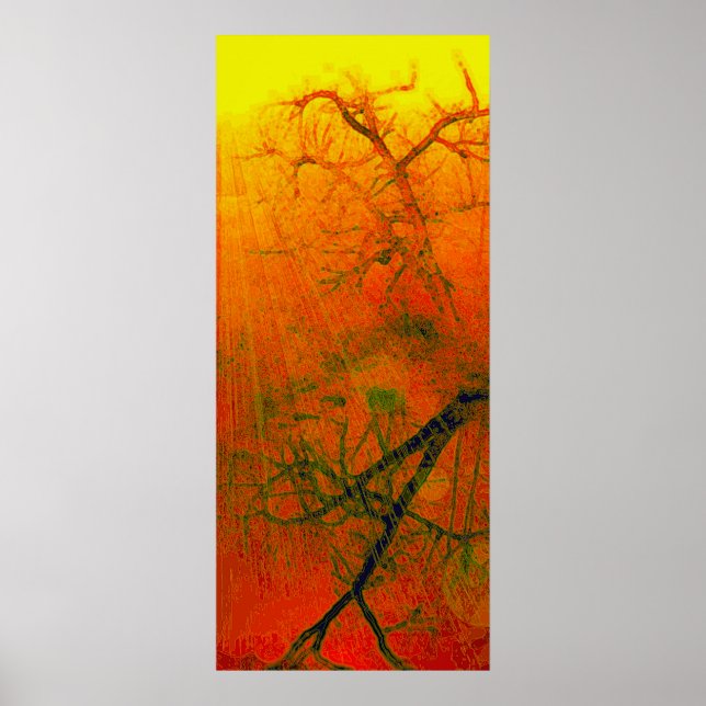 Affiches Chêne tordu - (Devant)