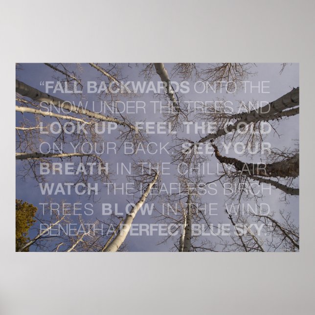 Affiches Chercher (Devant)