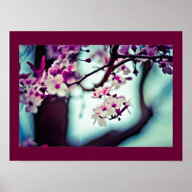 Affiches Cherry Blossom Branch (Devant)