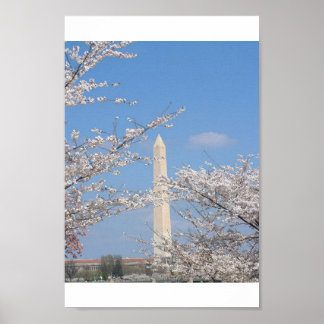 Affiches Cherry Blossoms à Washington DC