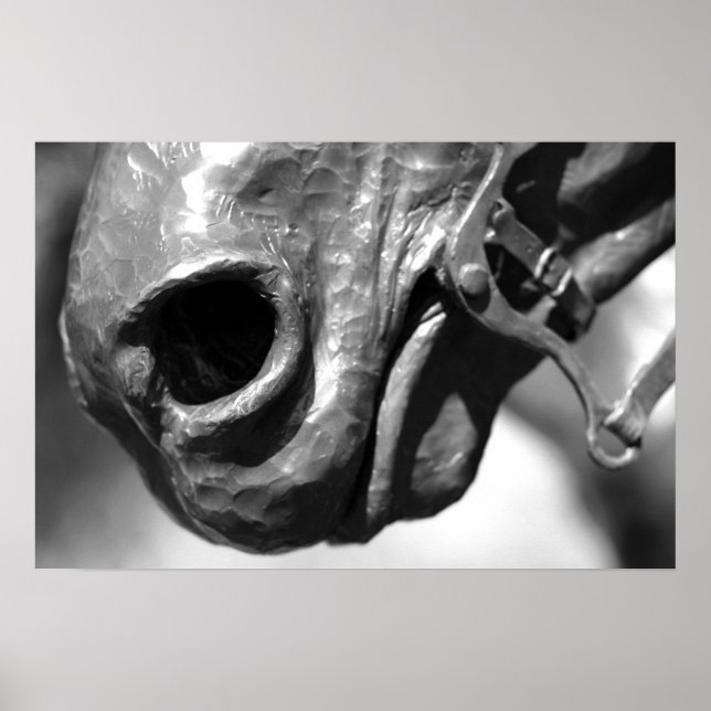 Affiches Cheval (Devant)