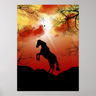 Affiches Cheval