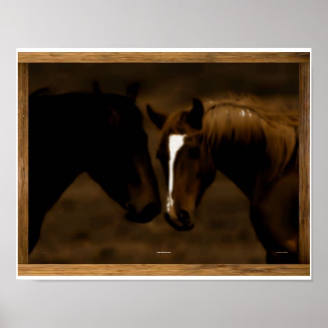 Affiches cheval (Devant)