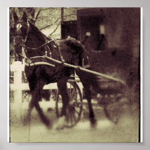 Affiches Cheval Amish et Buggy