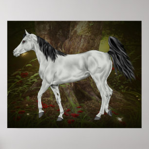 Affiches Cheval arabe gris