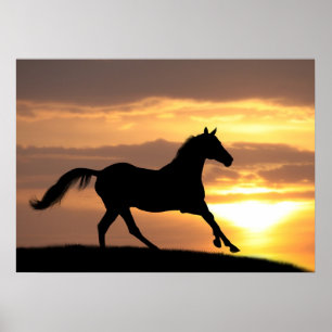 Affiches Cheval Au Coucher Du Soleil