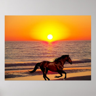 Affiches Cheval au coucher du soleil