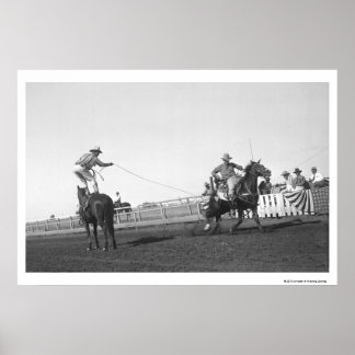 Affiches Cheval de course