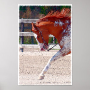 Affiches Cheval de peinture