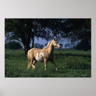 Affiches Cheval de peinture debout 2