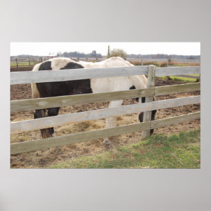 Affiches Cheval de peinture en Corral