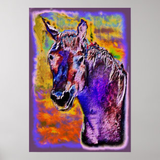 Affiches Cheval de plusieurs couleurs