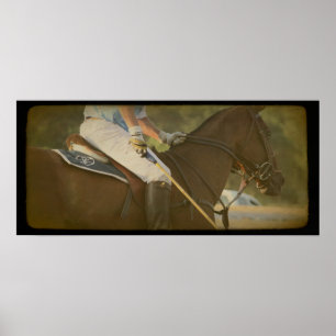 Affiches Cheval de polo