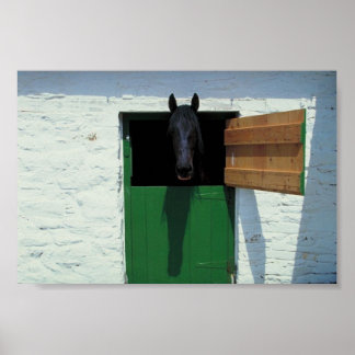 Affiches Cheval déposé avec porte française