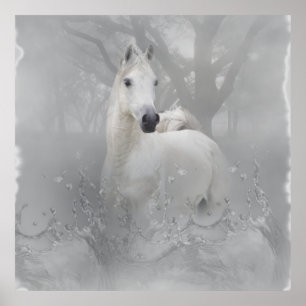 Affiches Cheval d'imaginaire