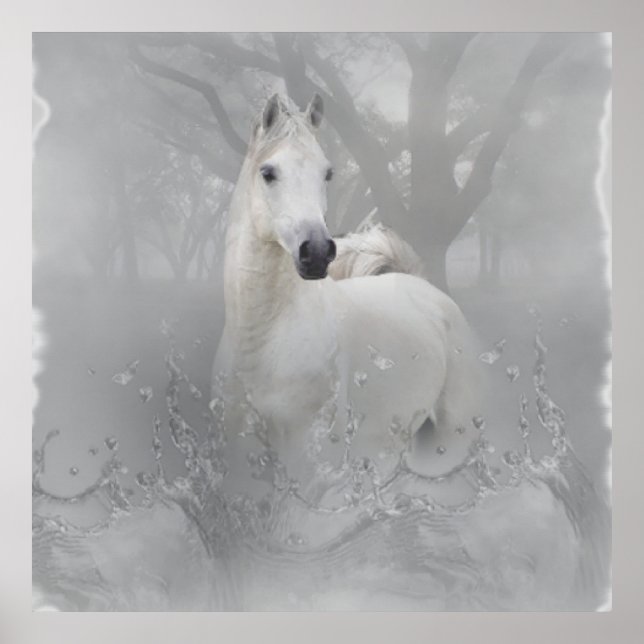 Affiches Cheval d'Imaginaire (Devant)