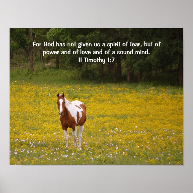 Affiches Cheval doux fort et Écriture 2 Timothée 1:7 (Devant)