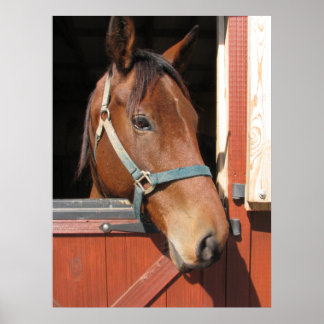 Affiches Cheval en Grange