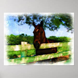 Affiches Cheval Hello Aquarelle
