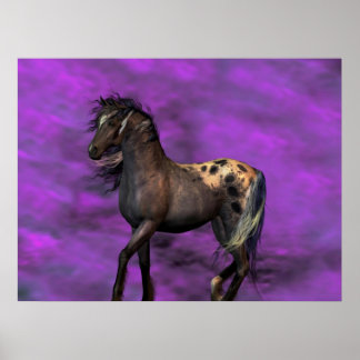 Affiches Cheval indien