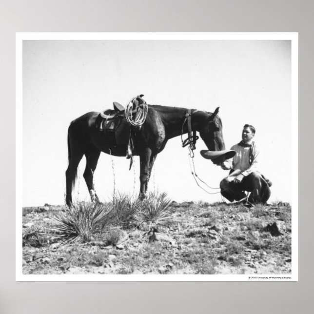 Affiches Cheval mangeant du casquette d'un cowboy. (Devant)