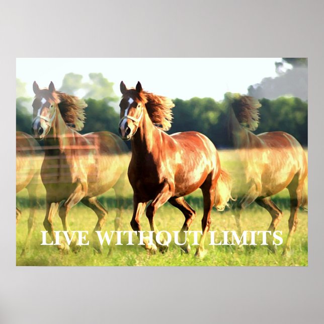 Affiches Cheval Motivationnel Vit Sans Limites (Devant)