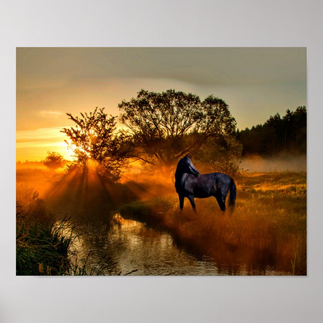 Affiches Cheval noir au lever du soleil ou au coucher du so (Devant)