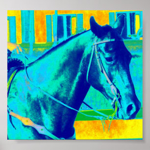 Affiches Cheval occidental coloré