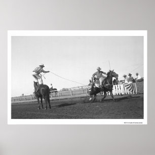 Affiches Cheval Roping