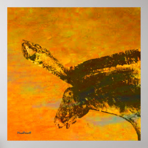 Affiches Cheval sauvage de Chauvet