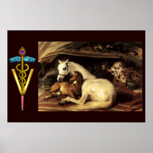 AFFICHES CHEVALX AVEC CADUCÉE D'OR SYMBOLE VÉTÉRINAIRE