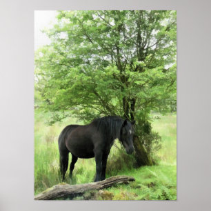 AFFICHES CHEVAUX