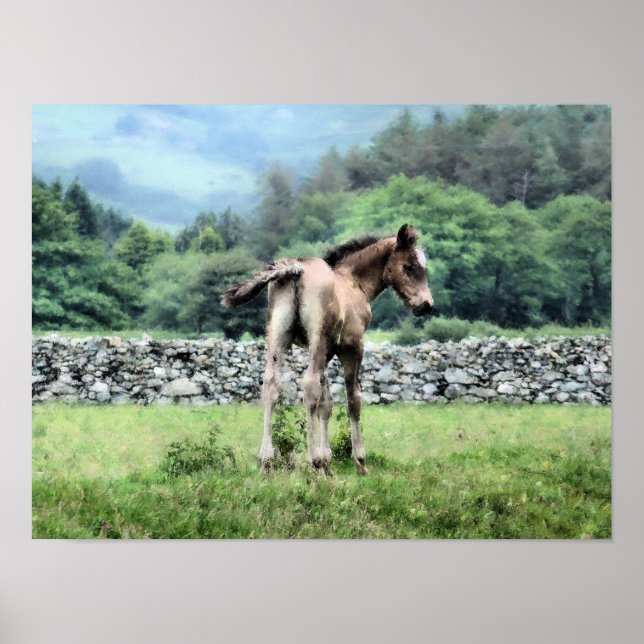 AFFICHES CHEVAUX (Devant)