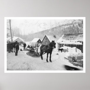 Affiches Chevaux Alaska 1912 de traînée de Valdez