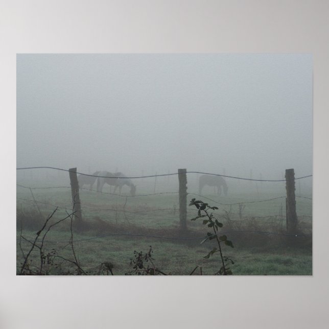 Affiches Chevaux Dans Le Brouillard Du Matin (Devant)
