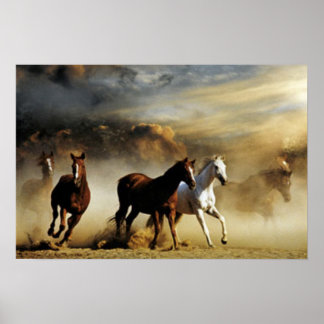 Affiches Chevaux de course