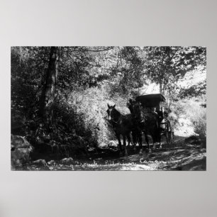 Affiches Chevaux de fret faisant une pause