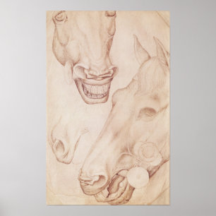 Affiches Chevaux, de l'Album Vallardi