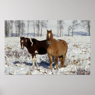 Affiches Chevaux de peinture dans la neige