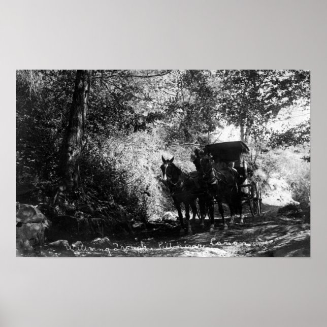 Affiches Chevaux de transport en panne (Devant)