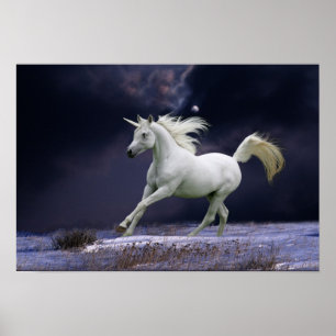 Affiches Chevaux d'Imaginaire : Unicorne
